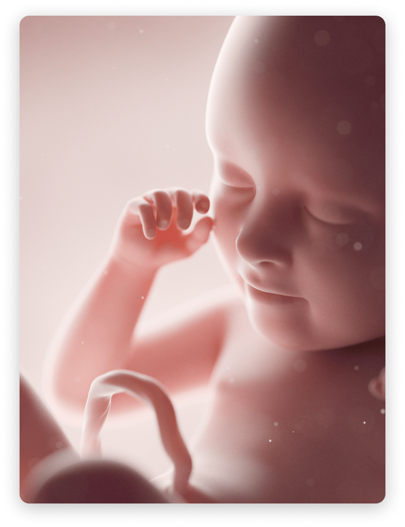 Malformaciones congénitas